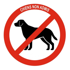 chiens non admis